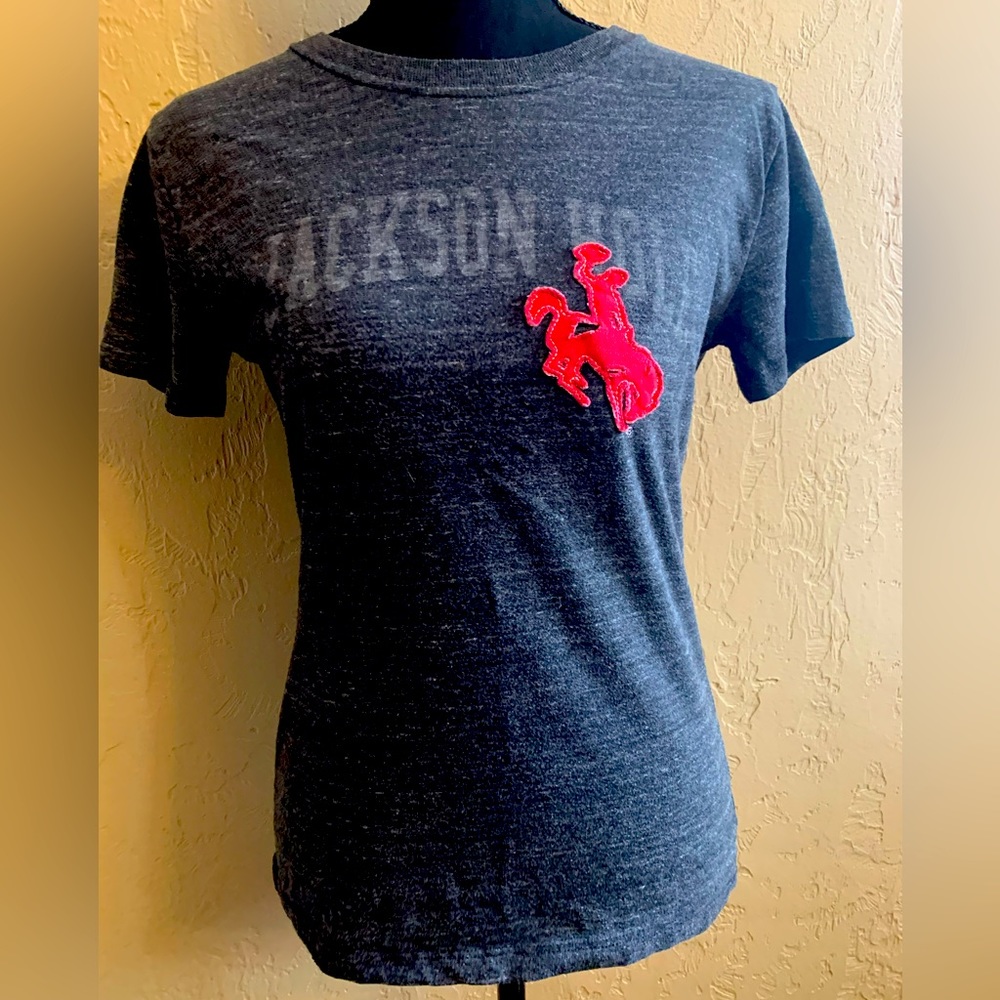 Jackson Hole Gray T-shirt